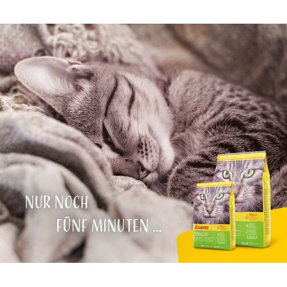 JOSERA SensiCat (1 x 10 kg) | Adult | Premium Trockenfutter für ausgewachsene empfindliche Katzen | Geflügel & Reis | extra verträgliche Rezeptur | weizenfrei | Katzenfutter | 1er Pack