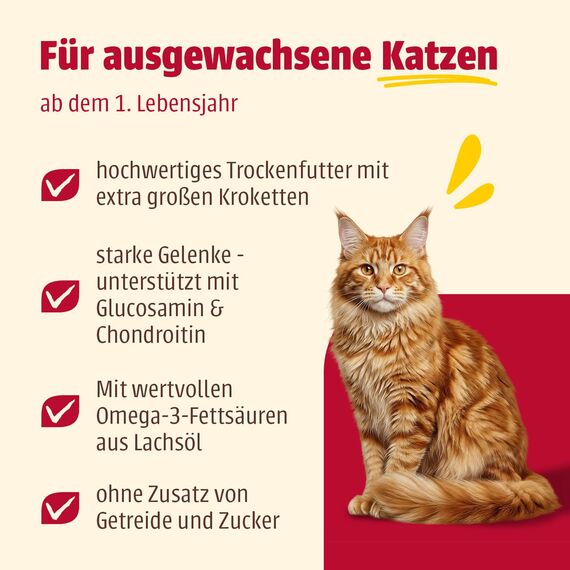 animonda Carny Katzen Trockenfutter Huhn + Lachs (1 x 1,75kg), Trockenfutter für große Katzenrassen ohne Zucker und Getreide, mit viel frischem Fleisch und Fisch