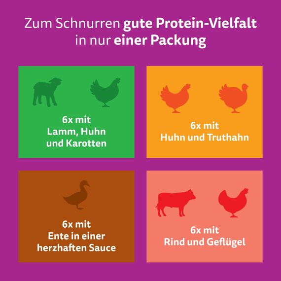 Whiskas 1+ Katzenfutter Tasty Mix Country Collection in Sauce, 24x85g (2 Packungen) – Hochwertiges Nassfutter für ausgewachsene Katzen in 48 Portionsbeuteln