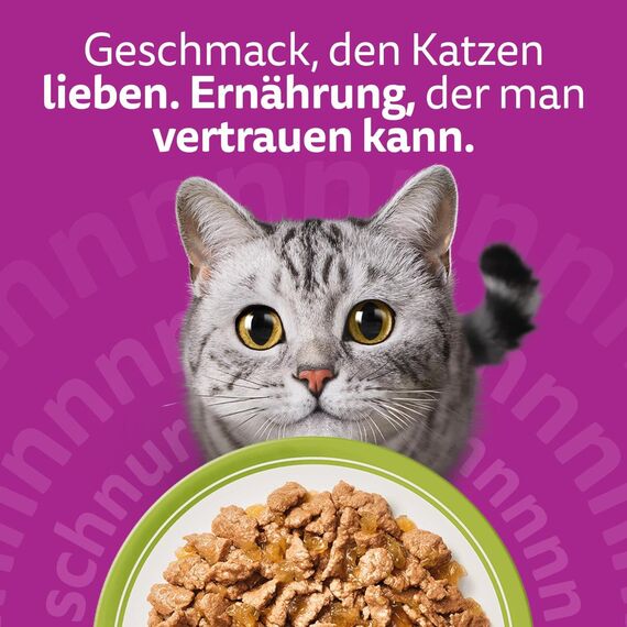 Whiskas Adult 1+ Katzennassfutter Gemischte Auswahl in Gelee, 84 Portionsbeutel, 84x85g (1 Großpackung) – Hochwertiges Katzenfutter nass, für ausgewachsene Katzen