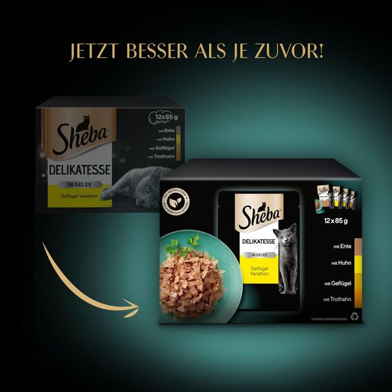 SHEBA Katzenfutter nass - 48x85g Portionsbeutel - Geflügel Variation in Gelee - Nassfutter für Katzen - 1 Großpackung