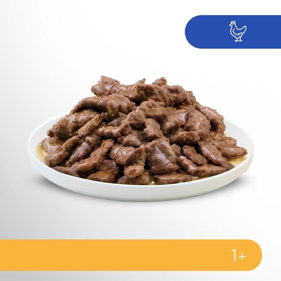 Perfect Fit Sensitive 1+ Katzennassfutter mit Huhn in Sauce, 12 Portionsbeutel, 12x85g – Premium Katzenfutter nass, für sensible Katzen ab 1 Jahr, ohne Weizen & Soja, zur Unterstützung der Verdauung