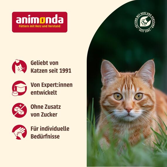 animonda Carny Katzen Trockenfutter Kitten mit Huhn (1 x 10kg), Kittenfutter trocken für wachsende Katzen ohne Zucker und Getreide, hoher Fleischanteil