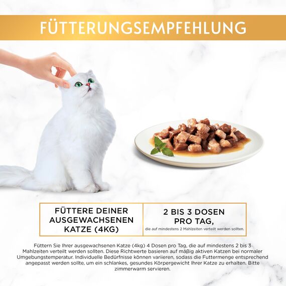 Gourmet Gold Zarte Häppchen in Sauce Katzenfutter nass, mit Lachs und Huhn, 12er Pack (12 x 85g)