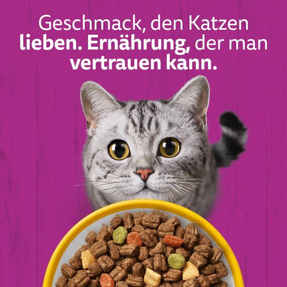 WHISKAS Trockenfutter für ausgewachsene Katzen 3,8kg mit Huhn