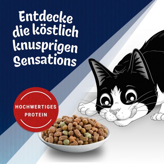 Felix Farmhouse Sensations Katzenfutter trocken, mit Huhn und Truthahn, 1er Pack (1 x 1kg)