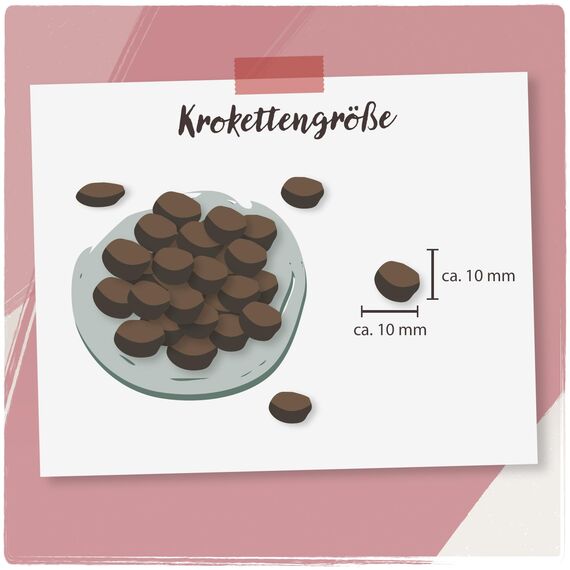 Venandi Animal – Premium Katzenfutter – Kitten – Geflügel, mit viel frischem Fleisch, Trockenfutter, getreidefrei 1er Pack (1 x 300g)