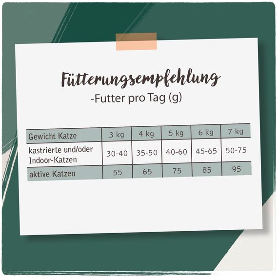 Venandi Animal – Premium Katzenfutter – Lachs, mit viel frischem Fisch, Trockenfutter, getreidefrei 1er Pack (1 x 300g)