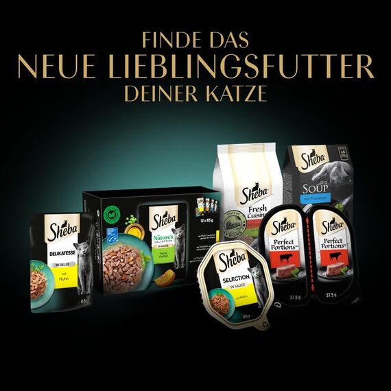 Sheba Sauce Collection Sauce Lover Katzen Nassfutter in Schale mit Huhn 2x11x85g