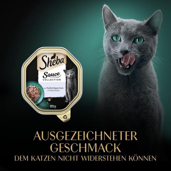 SHEBA Schale Nassfutter für Katzen Sauce Collection mit Kalbshäppchen in Heller Sauce 2 x 11 x 85g