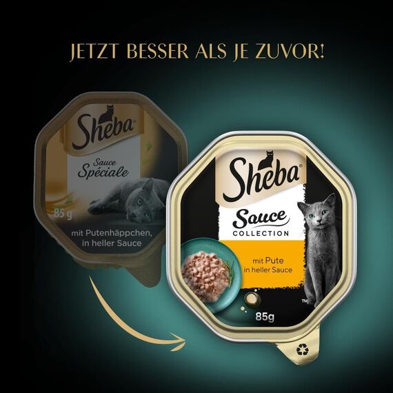 SHEBA Schale Nassfutter für Katzen Sauce Collection mit Pute in Heller Sauce 2 x 11 x 85g