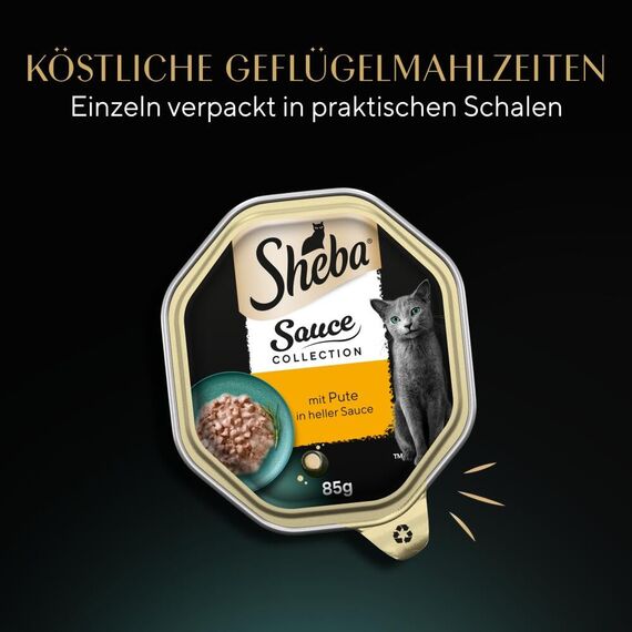 SHEBA Schale Nassfutter für Katzen Sauce Collection mit Pute in Heller Sauce 2 x 11 x 85g