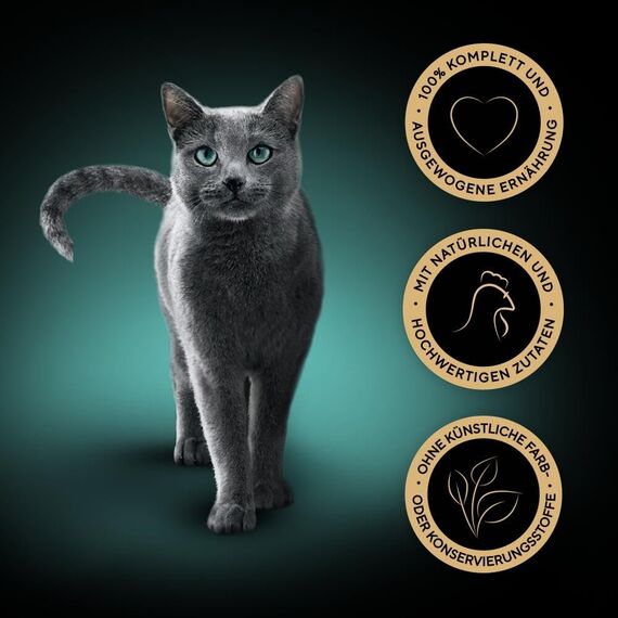 SHEBA Schale Nassfutter für Katzen Sauce Collection mit Hühnchen in Kräutersauce 2 x 11 x 85g