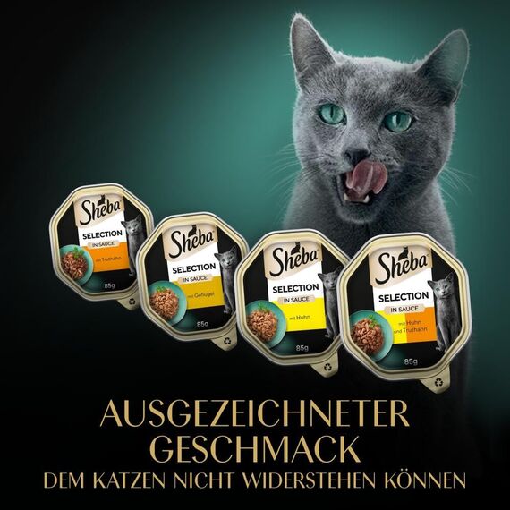 SHEBA Adult Katzenfutter nass - 32x85g Schalen - Geflügel Variation in Sauce - Nassfutter für Katzen - 1 Großpackung