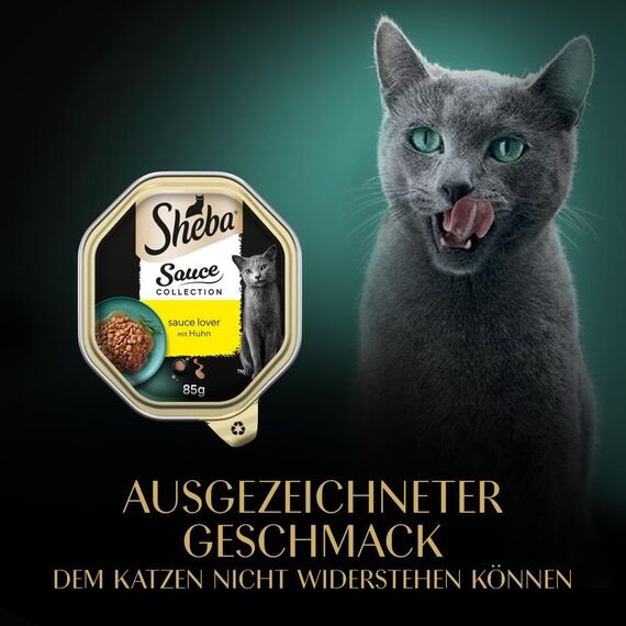 Sheba Sauce Collection Sauce Lover Katzen Nassfutter in Schale mit Huhn 2x11x85g