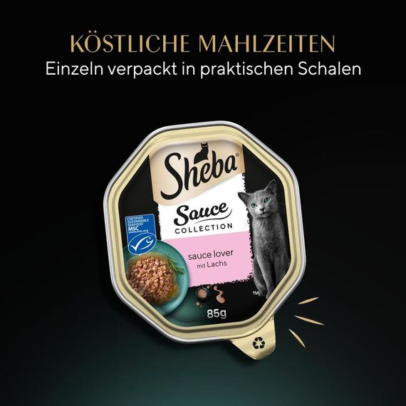 SHEBA Schale Nassfutter für Katzen Sauce Collection Sauce Lover mit Lachs MSC-Zertifiziert 2 x 11 x 85g