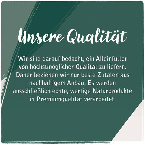 Venandi Animal – Premium Katzenfutter – Lachs, mit viel frischem Fisch, Trockenfutter, getreidefrei 1er Pack (1 x 300g)