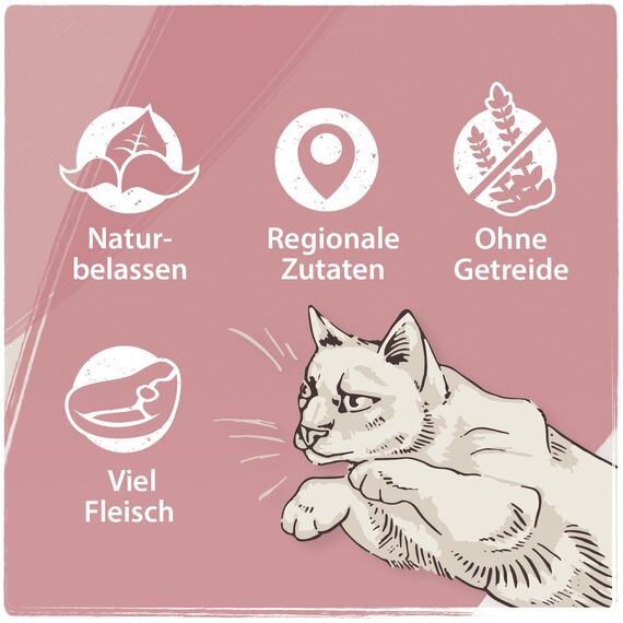 Venandi Animal – Premium Katzenfutter – Kitten – Geflügel, mit viel frischem Fleisch, Trockenfutter, getreidefrei 1er Pack (1 x 300g)