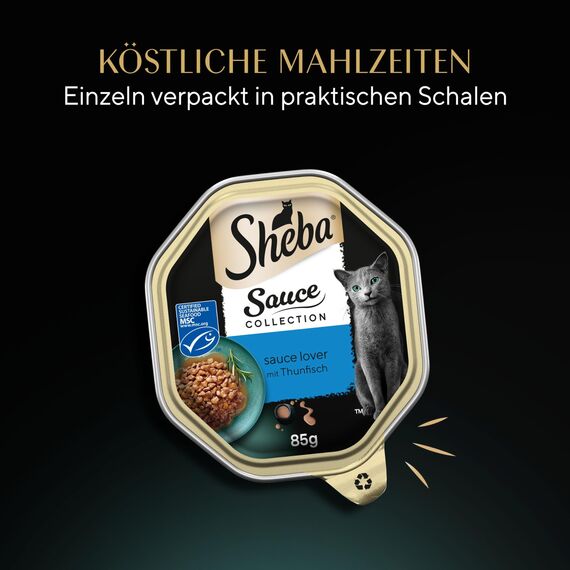 SHEBA Schale Nassfutter für Katzen Sauce Collection Sauce Lover mit Thunfisch MSC-Zertifiziert 2 x 11 x 85g