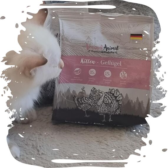 Venandi Animal – Premium Katzenfutter – Kitten – Geflügel, mit viel frischem Fleisch, Trockenfutter, getreidefrei 2er Pack (1 x 300g)