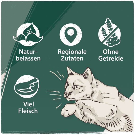 Venandi Animal – Premium Katzenfutter – Lachs, mit viel frischem Fisch, Trockenfutter, getreidefrei 1er Pack (1 x 300g)