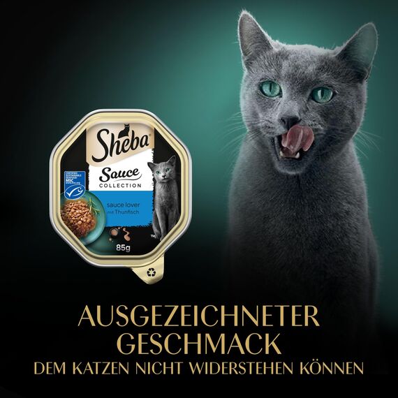 SHEBA Schale Nassfutter für Katzen Sauce Collection Sauce Lover mit Thunfisch MSC-Zertifiziert 2 x 11 x 85g