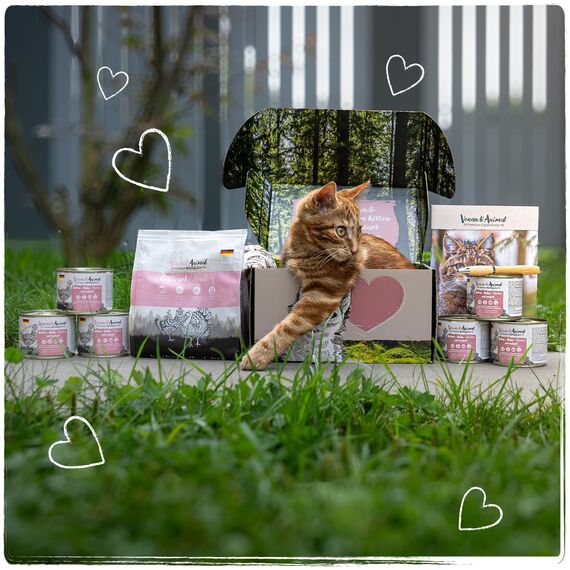 Venandi Animal – Premium Katzenfutter – Kitten – Geflügel, mit viel frischem Fleisch, Trockenfutter, getreidefrei 1er Pack (1 x 300g)
