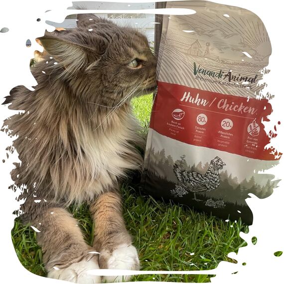 Venandi Animal – Premium Katzenfutter – Huhn, mit viel frischem Geflügel, Trockenfutter, getreidefrei 2er Pack (1 x 300g)