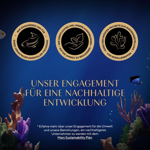 SHEBA Schale Nassfutter für Katzen Sauce Collection Sauce Lover mit Thunfisch MSC-Zertifiziert 2 x 11 x 85g