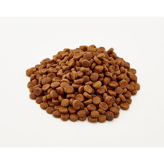 Venandi Animal – Premium Katzenfutter – Huhn, mit viel frischem Geflügel, Trockenfutter, getreidefrei 2er Pack (1 x 300g)