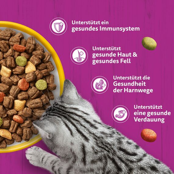 WHISKAS Trockenfutter für ausgewachsene Katzen 5 x 800g mit Huhn