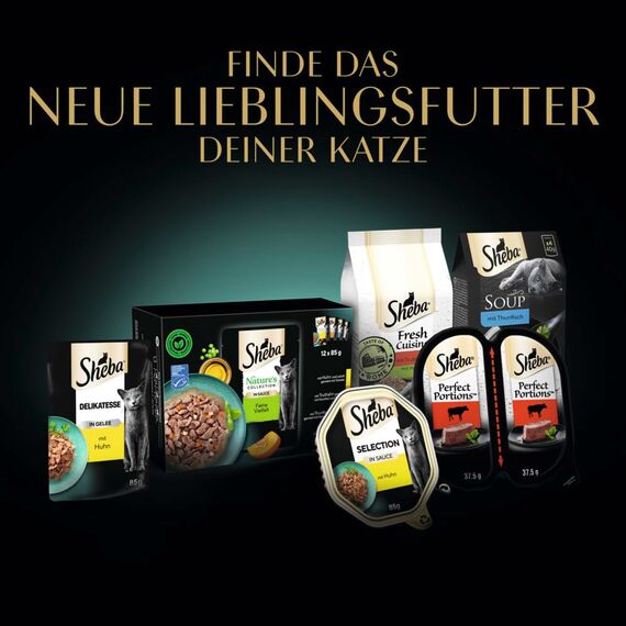 Sheba Classics in Pastete- Feinstes Katzennassfutter in der Schale - Fisch Variation (MSC) mit Lachs, Weißfisch, Thunfisch und Kabeljau - 32 x 85g