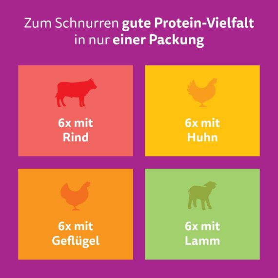 WHISKAS PURE DELIGHT Nassfutter in Gelee 24 x 85g Klassisches Ragout (4 Packungen) 48 Portionsbeutel