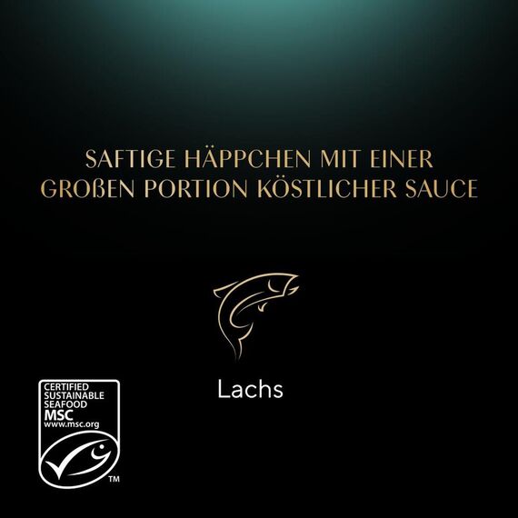 SHEBA Schale Nassfutter für Katzen Sauce Collection Sauce Lover mit Lachs MSC-Zertifiziert 2 x 11 x 85g