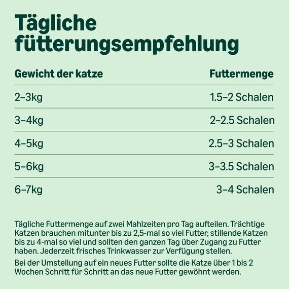 by Amazon Nassfutter für Katzen, Pastete mit Rindfleisch, 100g, 16er-Pack
