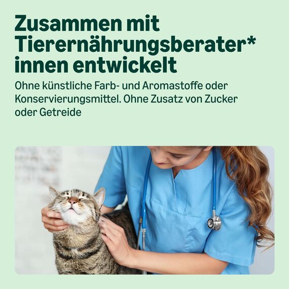 by Amazon Nassfutter für Katzen, Pastete mit Rindfleisch, 100g, 16er-Pack