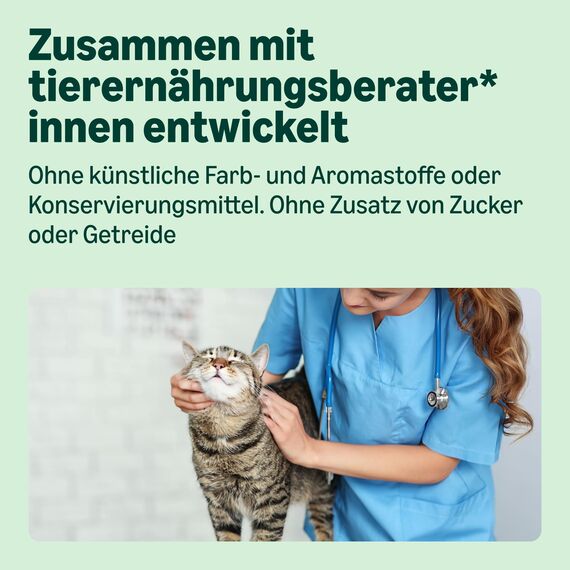 by Amazon Nassfutter für Katzen, Pastete mit Lachs, 100g, 16er-Pack