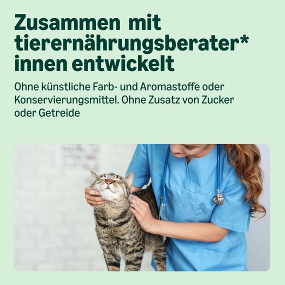 by Amazon Nassfutter für Katzen, Pastete mit Wild, 100g, 16er-Pack