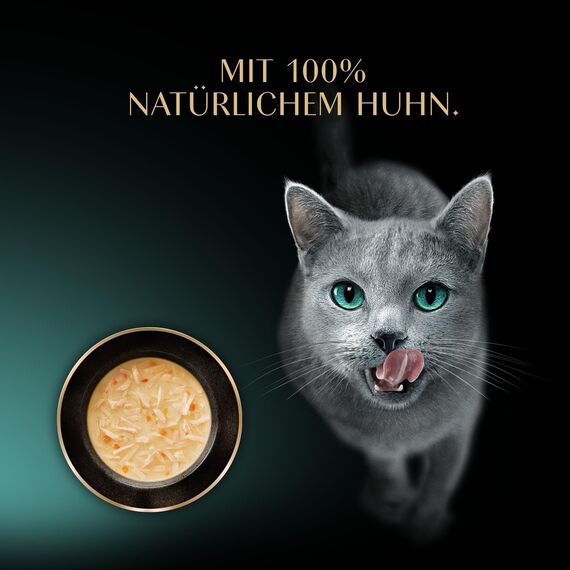 SHEBA Soup Adult Katzen-Nassfutter Portionsbeutel mit Huhn 10 x 4 x 40g, 40er Pack