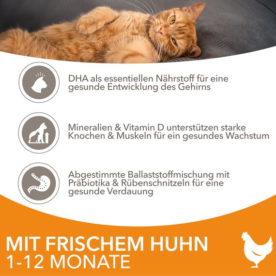 IAMS Junior Katzenfutter trocken mit Huhn - Trockenfutter für Kitten im Alter von 1-12 Monaten, 3 kg