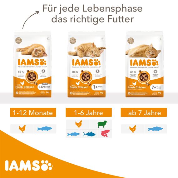 IAMS Junior Katzenfutter trocken mit Huhn - Trockenfutter für Kitten im Alter von 1-12 Monaten, 3 kg