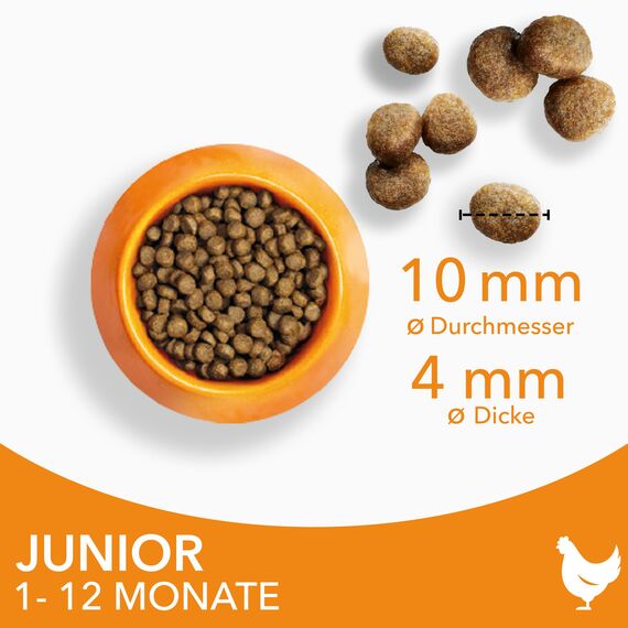 IAMS Junior Katzenfutter trocken mit Huhn - Trockenfutter für Kitten im Alter von 1-12 Monaten, 3 kg