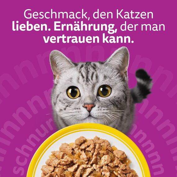 WHISKAS Nassfutter in Gelee für Katzen 120 x 85g Geflügel Auswahl