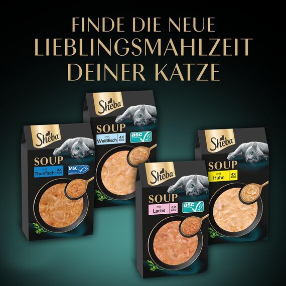 SHEBA Soup Adult Katzen-Nassfutter Portionsbeutel mit Huhn 10 x 4 x 40g, 40er Pack