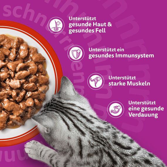 Whiskas 1+ Katzennassfutter Klassische Auswahl in Sauce, 12x85g (4 Packungen) – Hochwertiges Nassfutter für ausgewachsene Katzen in 48 Portionsbeuteln