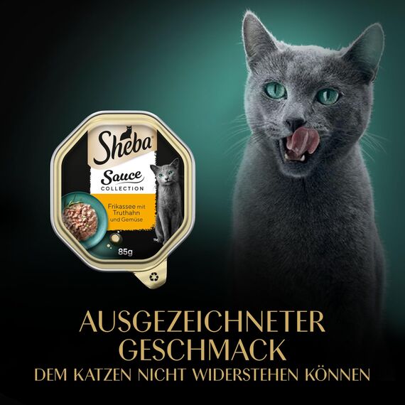 SHEBA Schale Nassfutter für Katzen Sauce Collection Frikassee mit Truthahn und Gemüse 2 x 11 x 85g