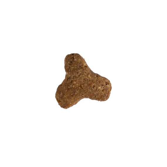 JosiCat Sterilised Classic (1 x 10 kg) | Adult | Premium Trockenfutter für kastrierte Katzen | mit wenig Fett und viel Protein | Powered by JOSERA | Katzenfutter | Alleinfuttermittel | 1er Pack