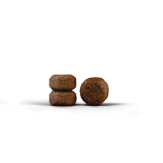 JOSERA Senior (1 x 2 kg) | Senior | Premium Trockenfutter für ältere Katzen oder Katzen mit Niereninsuffizienz | Geflügel & Reis | leicht verdaulich | getreidefrei | Katzenfutter | 1er Pack