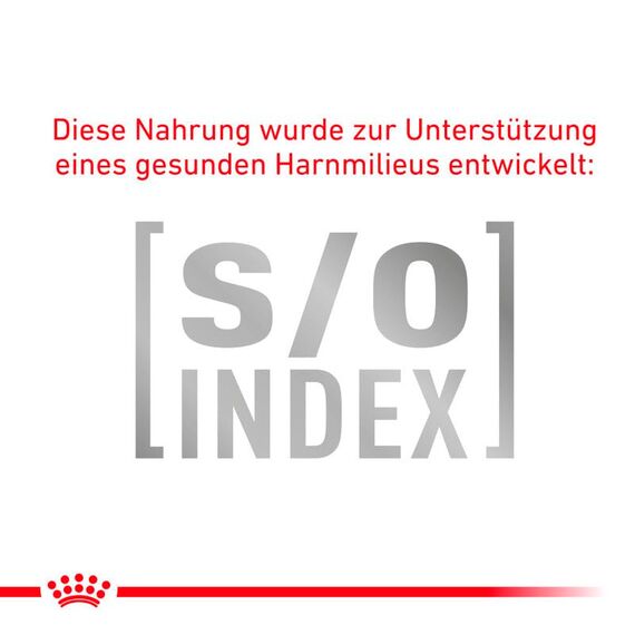 Royal Canin Veterinary Gastrointestinal | Doppelpack | 2 x 400 g | Diät-Alleinfuttermittel für Katzen | Bei akuten Resorptionsstörungen des Darms