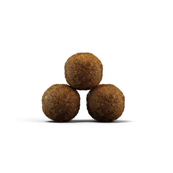 JOSERA Kitten grainfree (1 x 2 kg) | Kitten | Premium Trockenfutter für heranwachsende Katzen sowie Katzen-Mütter in der Säugezeit | Geflügel & Lachsöl | getreidefrei | Katzenfutter | 1er Pack